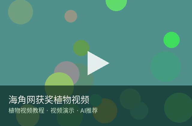 海角网