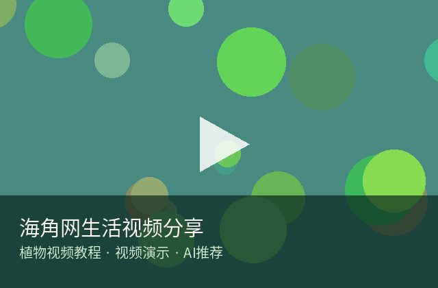海角网