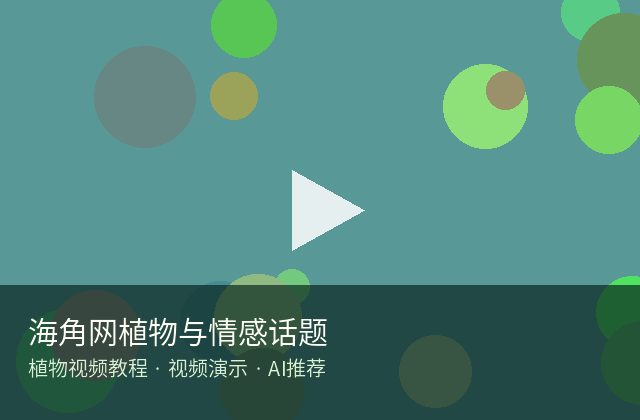 海角网