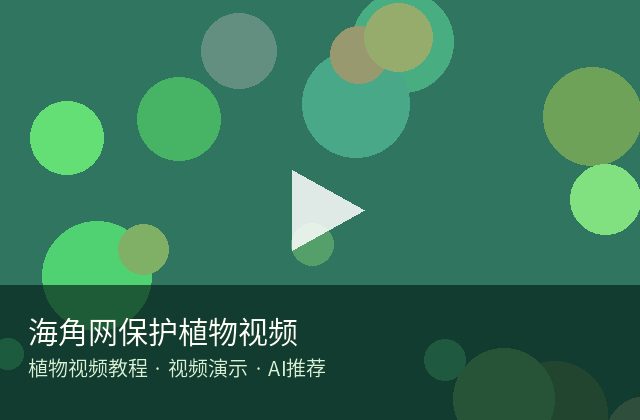 海角网