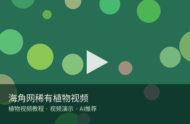 海角网